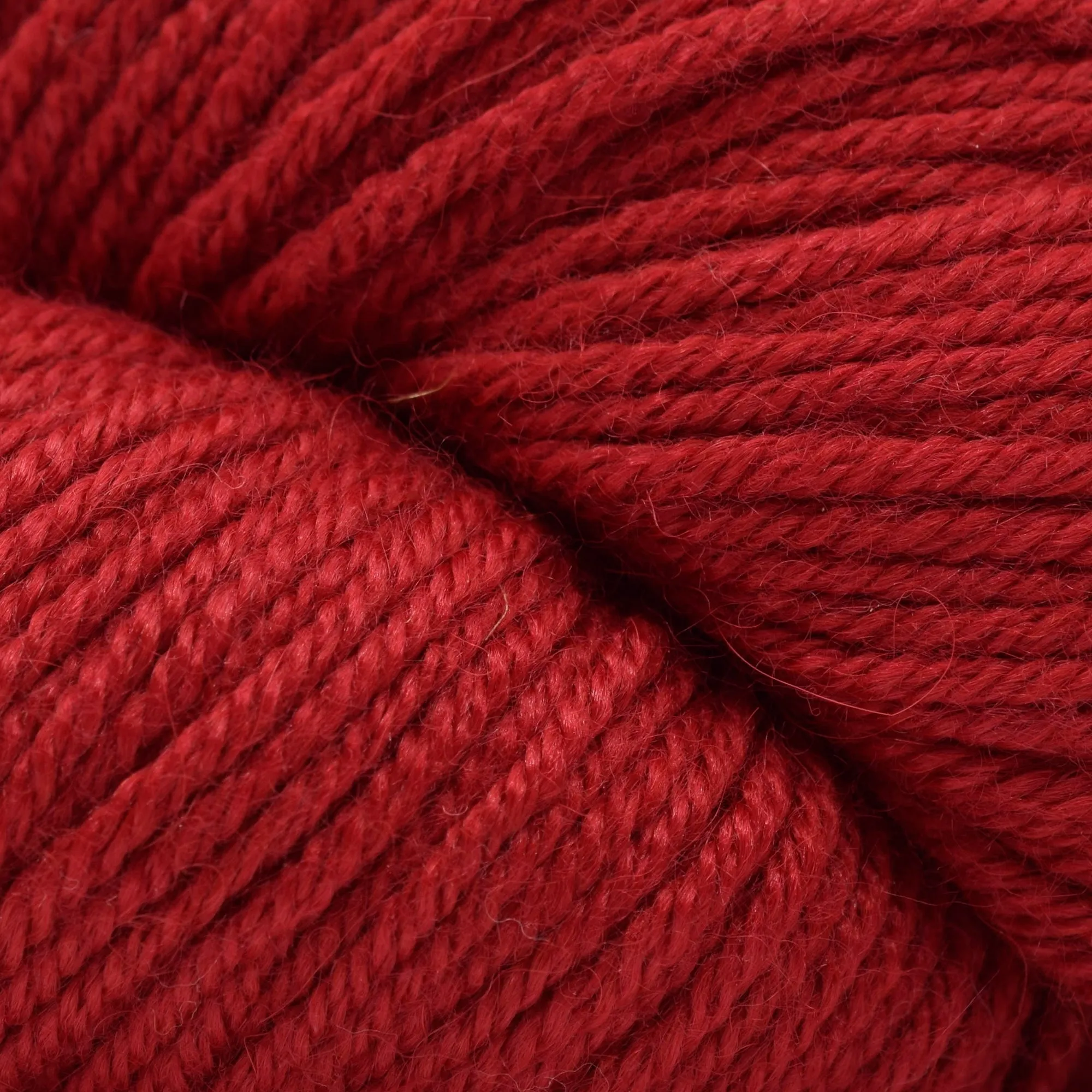 Cozy Alpaca